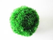 ����������  ��� �� �������  ������� 22 ��.